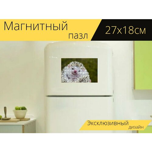 Магнитный пазл Ежик, на открытом воздухе, животное на холодильник 27 x 18 см. магнитный пазл канада рукавица на открытом воздухе на холодильник 27 x 18 см