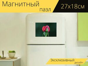 Магнитный пазл "Красная роза бархат, символ любви, романтичный" на холодильник 27 x 18 см.
