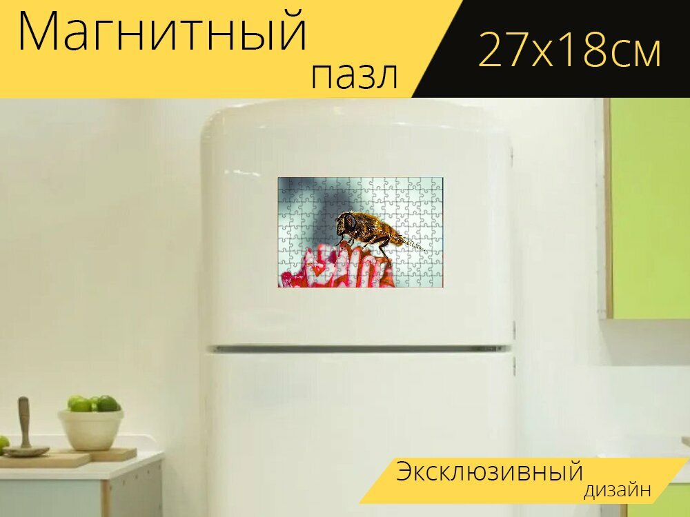 Магнитный пазл "Макрос, пчела, насекомое" на холодильник 27 x 18 см.