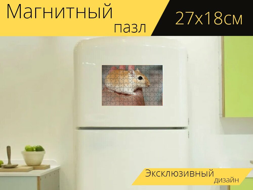 Магнитный пазл "Песчанка, бегун, грызун" на холодильник 27 x 18 см.