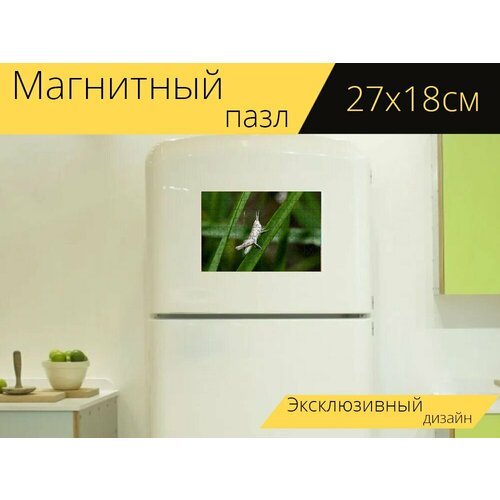Магнитный пазл Кузнечик, насекомое, зеленый на холодильник 27 x 18 см.