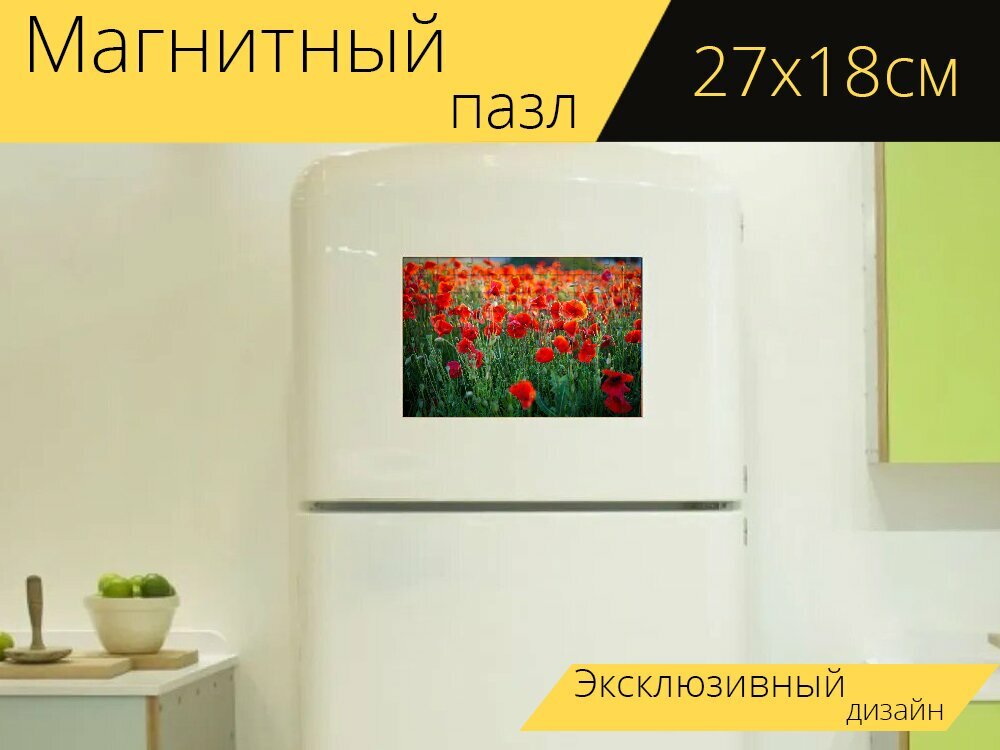 Магнитный пазл "Мак, маки, красный" на холодильник 27 x 18 см.