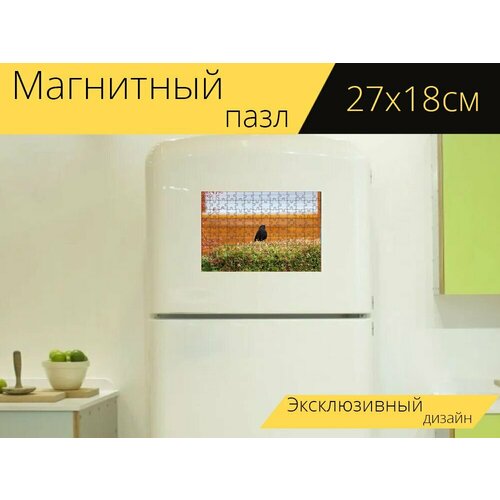 Магнитный пазл Черный дрозд, певчая птица, изгородь на холодильник 27 x 18 см.