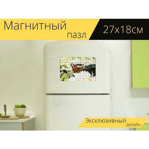 фото Магнитный пазл "бабочка, насекомое" на холодильник 27 x 18 см. lotsprints