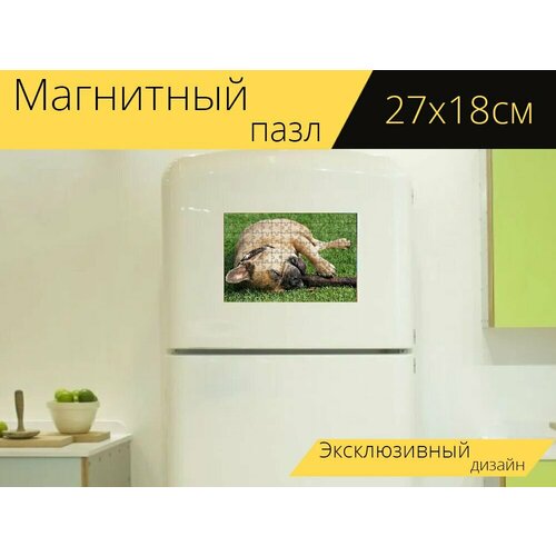 Магнитный пазл Французский бульдог, палка, лужайка на холодильник 27 x 18 см. магнитный пазл палка вата ушная палка на холодильник 27 x 18 см