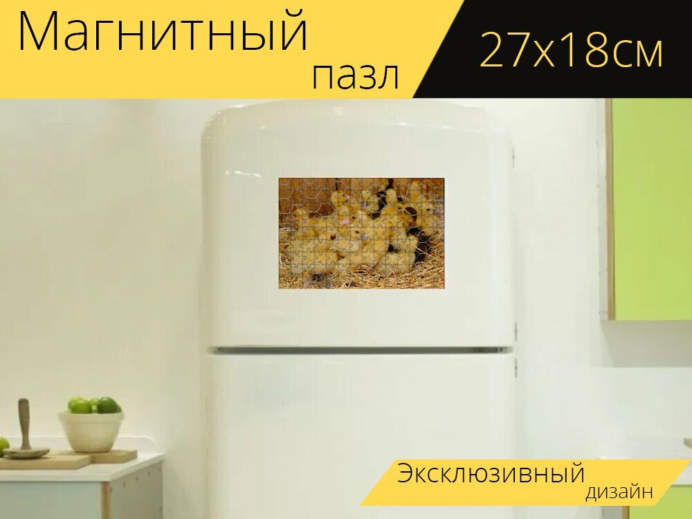 Магнитный пазл "Цыпленок, клетка, курица" на холодильник 27 x 18 см.