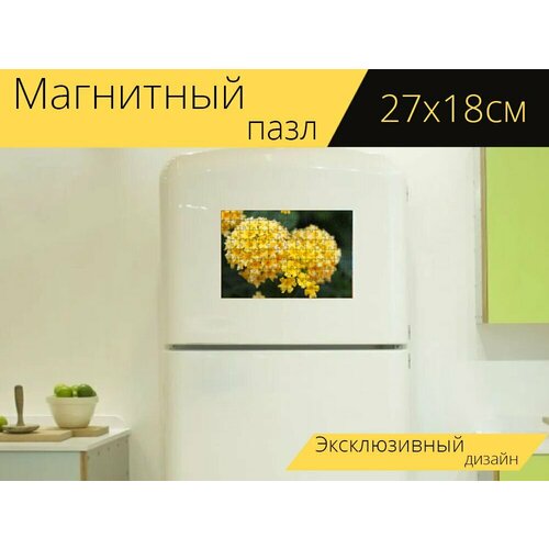 Магнитный пазл Цветок, желтый, природа на холодильник 27 x 18 см. магнитный пазл желтый природа желтый здоровье желтый медицинский на холодильник 27 x 18 см