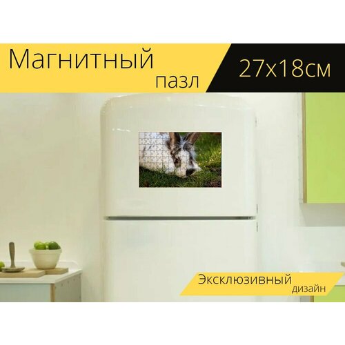 Магнитный пазл Кролики, кролик, пасхальный на холодильник 27 x 18 см. магнитный пазл кролик пасхальный кролики на холодильник 27 x 18 см