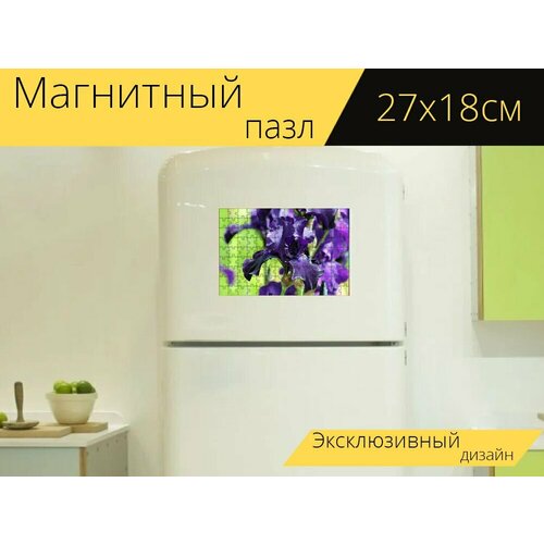 Магнитный пазл Синий ирис, цветок ирис, садовый цветок на холодильник 27 x 18 см. магнитный пазл цветок ирис фиолетовый на холодильник 27 x 18 см