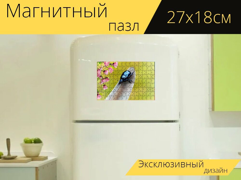 Магнитный пазл "Лесной жук, жук, перо птицы" на холодильник 27 x 18 см.