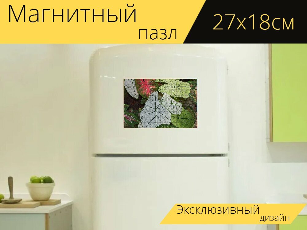 Магнитный пазл "Каладиум сад, листва, сад" на холодильник 27 x 18 см.
