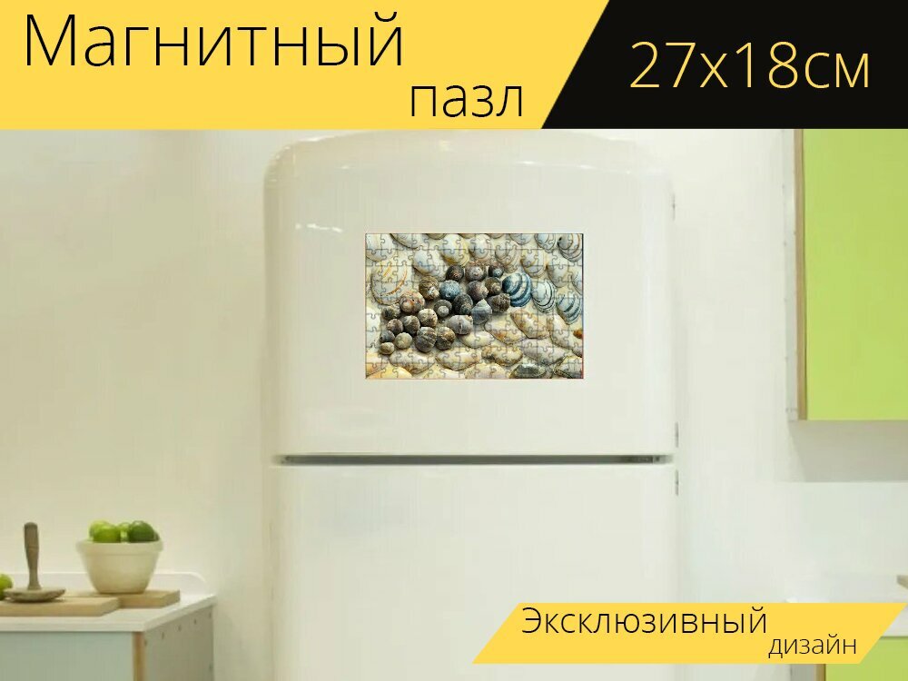 Магнитный пазл "Моллюски, пляж, улитки" на холодильник 27 x 18 см.