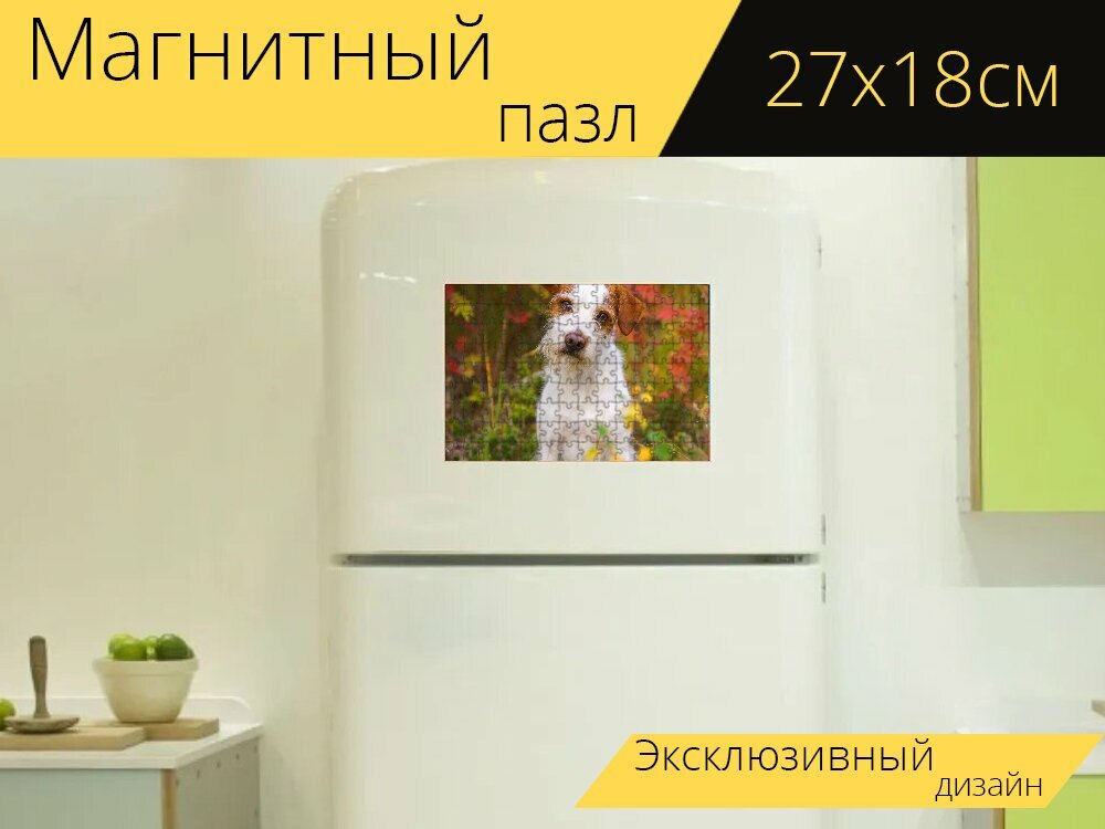 Магнитный пазл "Собака, kromfohrländer, собакакомпаньон" на холодильник 27 x 18 см.