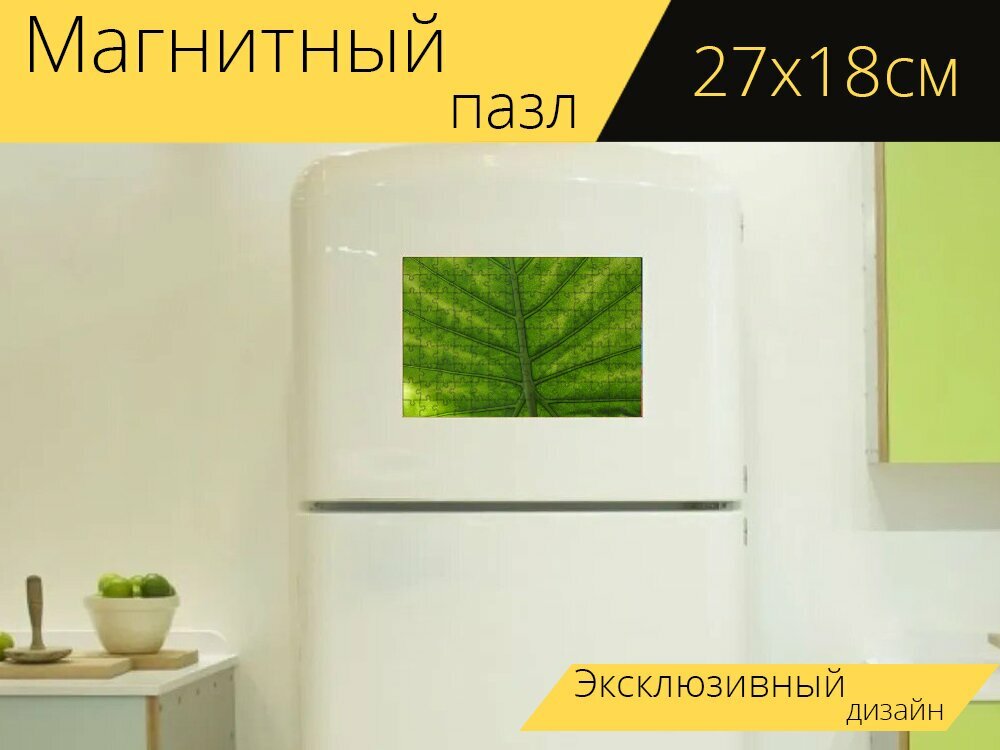 Магнитный пазл "Лист, листва, alocasia" на холодильник 27 x 18 см.