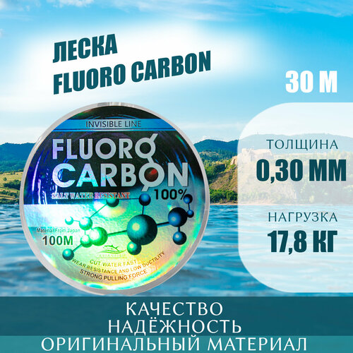 фото Леска рыболовная fluoro carbon 100m 0.30 asianfish