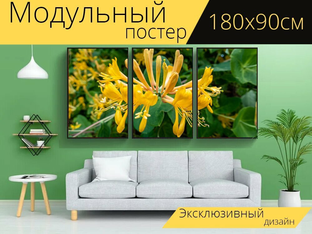 Модульный постер "Каприфоль, жимолость, цветы" 180 x 90 см. для интерьера
