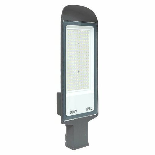 Светильник светодиодный консольный ДКУ-8003-Д 100Вт 5000К IP65 PROxima EKF SLL-8003-100-5000 3590₽