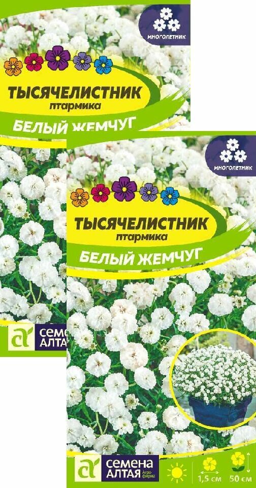 Тысячелистник Белый жемчуг (01 г) 2 пакета