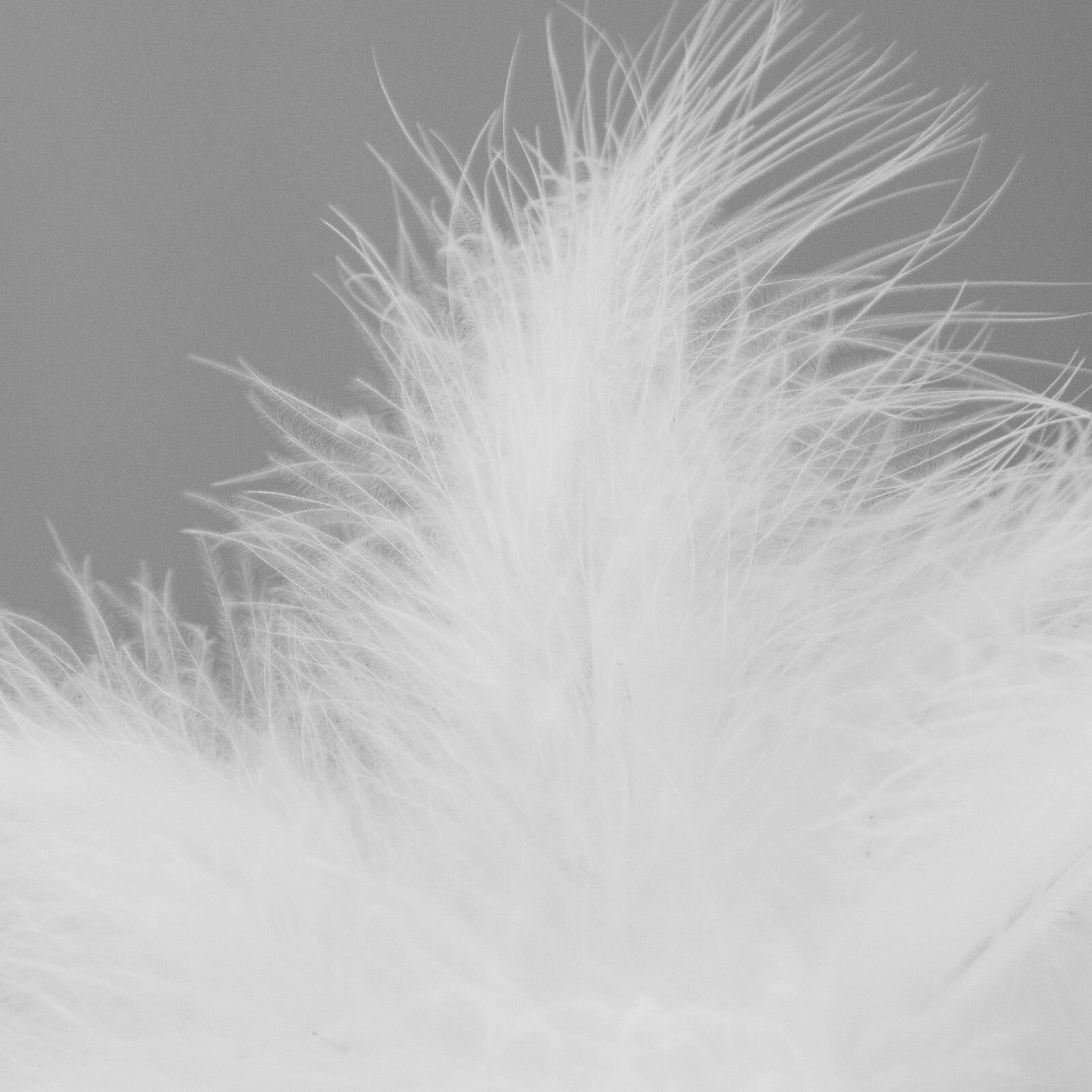 Ночник "Нежность" с перьями,белый 27х27х30 см - фотография № 6