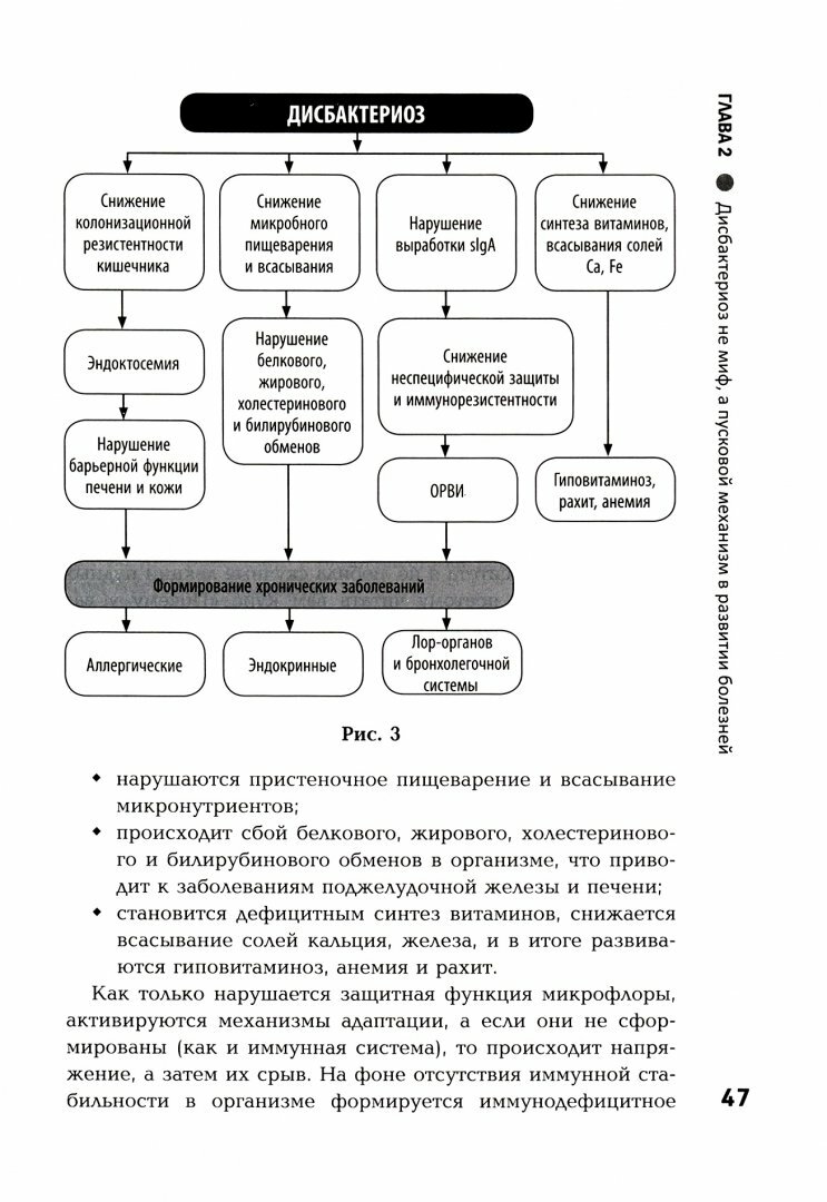 Укрощение строптивых. Как приручить микрофлору кишечника и стать здоровым - фото №2