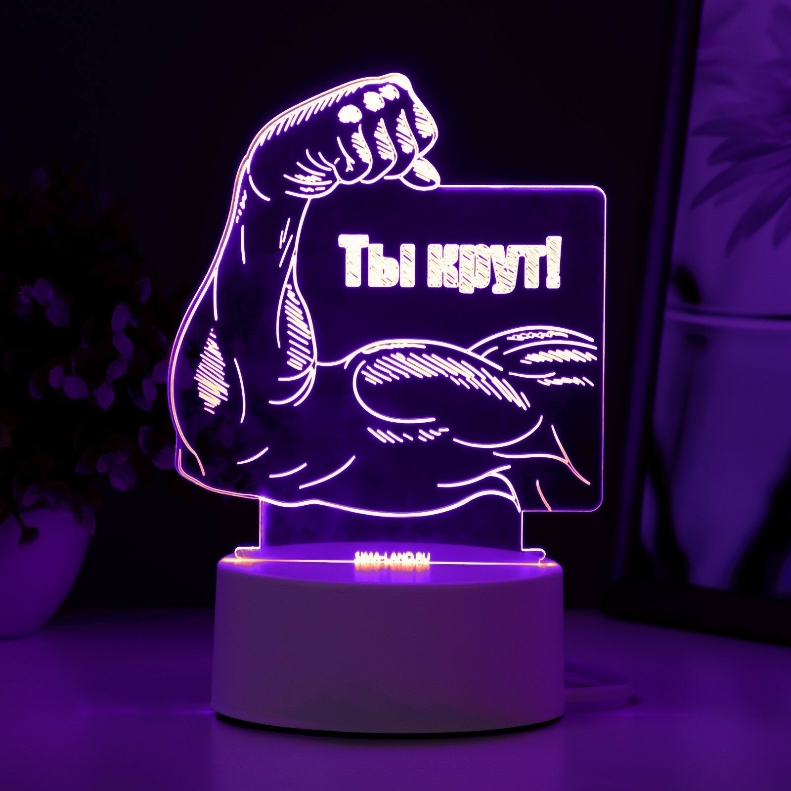 RISALUX Светильник "Ты крут" LED RGB от сети 12,8х9,5х14,5 см - фотография № 6