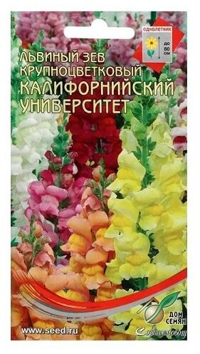 Львиный Зев Университет Калифорнии 400шт Дом семян