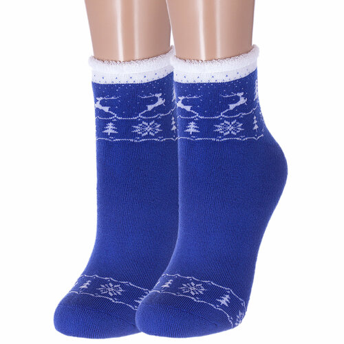 Носки Красная Ветка 2 пары, размер 22-24, синий носки красная ветка 2 пары размер 22 24 синий