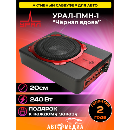 Активный сабвуфер ПМН-1 4194000₽