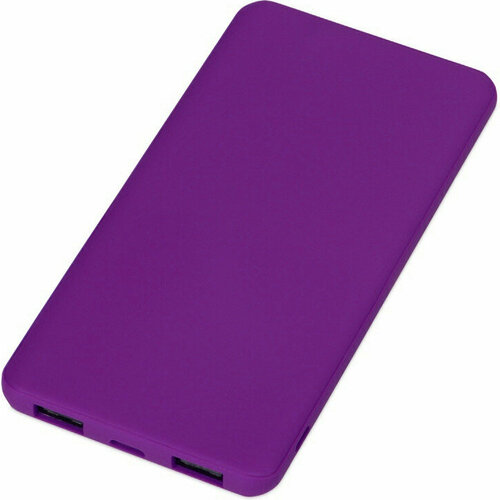Портативное зарядное устройство Evolt Reserve с USB Type-C 5000 мАч фиолетовый 270100₽