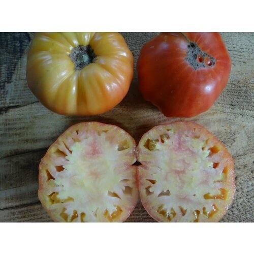 Коллекционные семена томата Домати