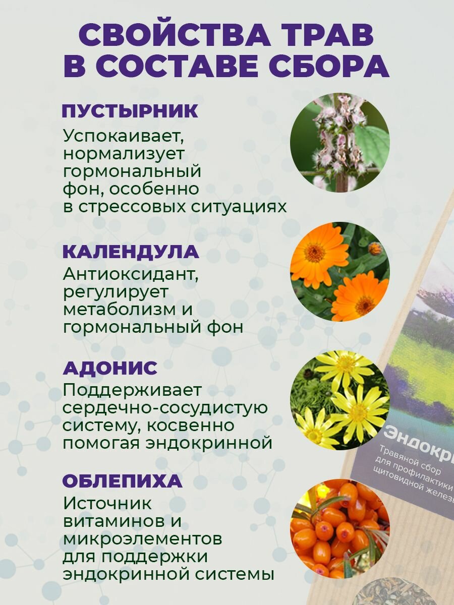 Изображение Травяной чай Эндокринорм для щитовидной железы