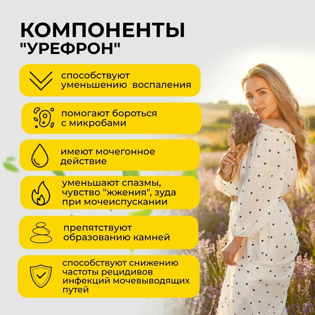 Картинки Урефрон таблетки при цистите и для почек, золототысячник, любисток, розмарин, 3 упаковки