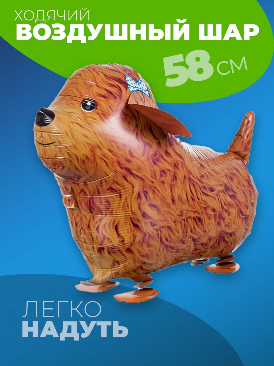 Фольгированные воздушные шары фотозона на день рождения