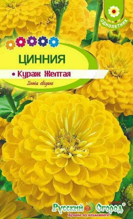 Циния изящная карликовая желтая семена 10 штук