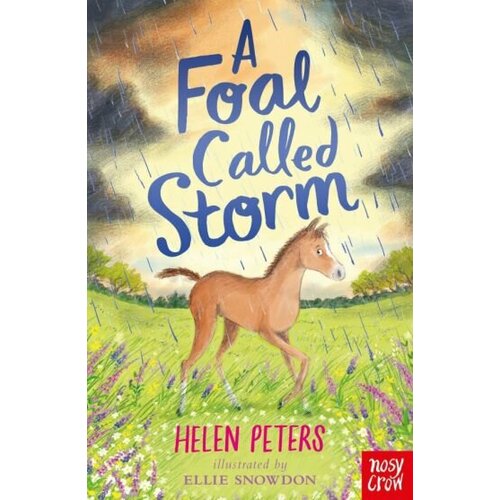 Helen Peters - A Foal Called Storm