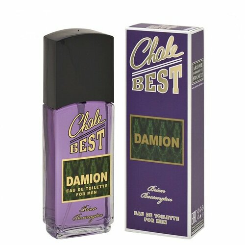Positive Parfum men (brian Bossengton) Chale Best - Damion Туалетная вода 95 мл.