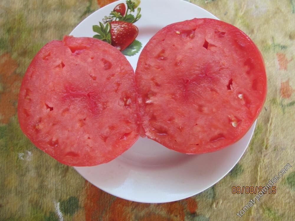 Коллекционные семена томата Бычье сердце победитель в Минусинске в 2009 году