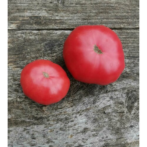 Коллекционные семена томата Гном Большая Удача