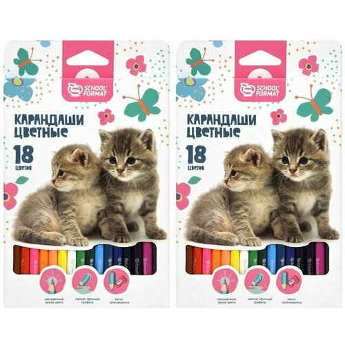 Schoolformat Набор цветных карандашей Пушистые котята,18 цветов,2 шт schoolformat набор цветных карандашей пушистые котята 12 цветов 2 шт