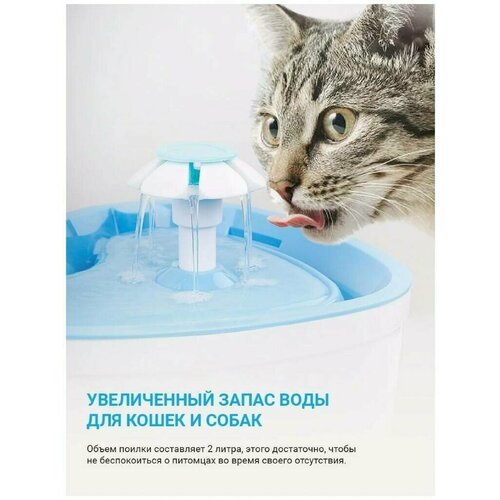 Поилка/поилка для кошек, Поилка собак, Поилка-фонтан для животных, Автоматическая поилка, Master-Pokupok