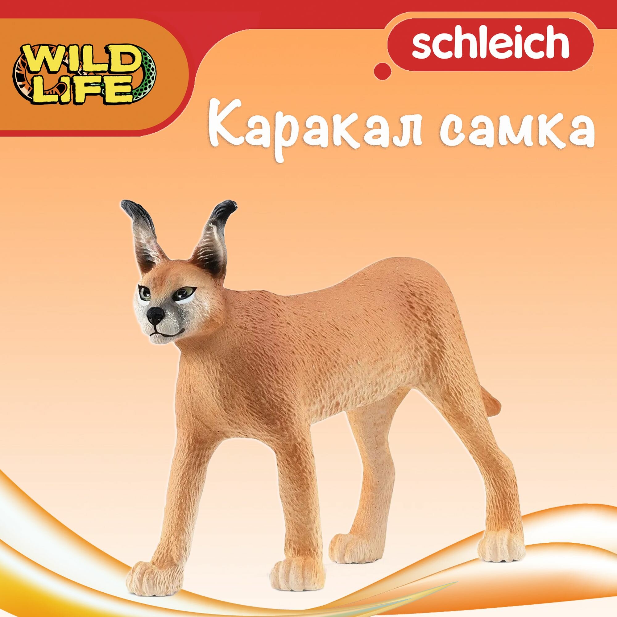 Фигурка "Каракал самка" Schleich Wild Life/ для детей от 3 лет/ Шляйх 14867