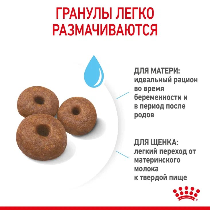 Royal Canin Giant Starter для щенков до 2 месяцев, беременных и кормящих сук гигантских пород Курица, 4 кг. — фото 1