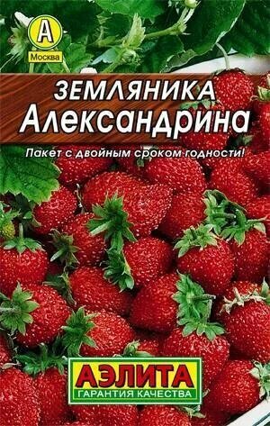 Земляника Александрина альпийская 004г Аэлита