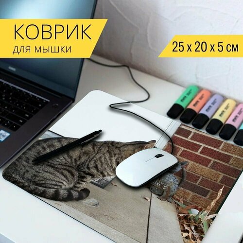 Коврик для мыши с принтом Кошка, кошачий, пушистый 25x20см. коврик для мыши с принтом кошачий кошка пушистый 25x20см