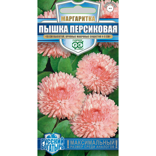 Гавриш, Маргаритка Пышка персиковая, серия Русский богатырь 4 семени