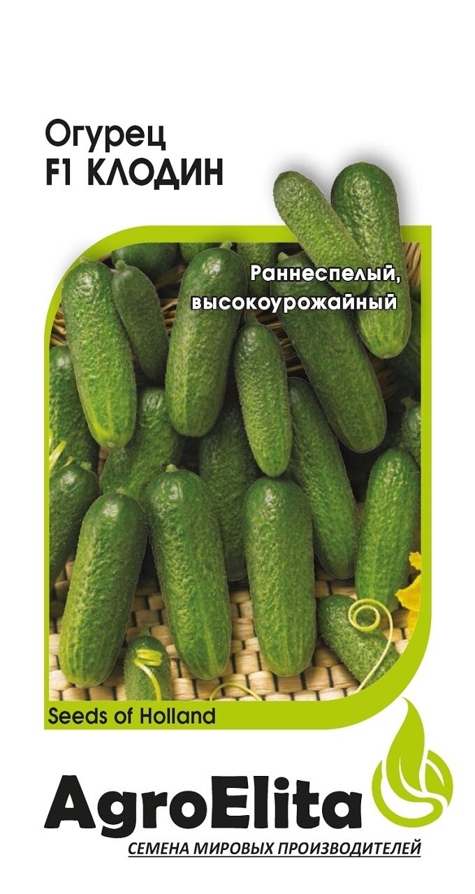 Семена Огурец Клодин F1 5шт AgroElita Seminis (от 3-х пакетов)