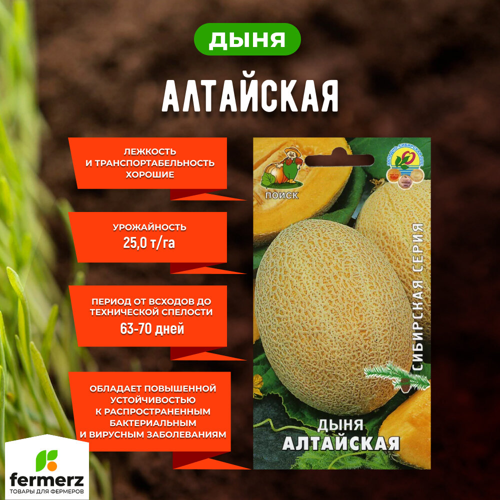 фото Семена Дыня Алтайская