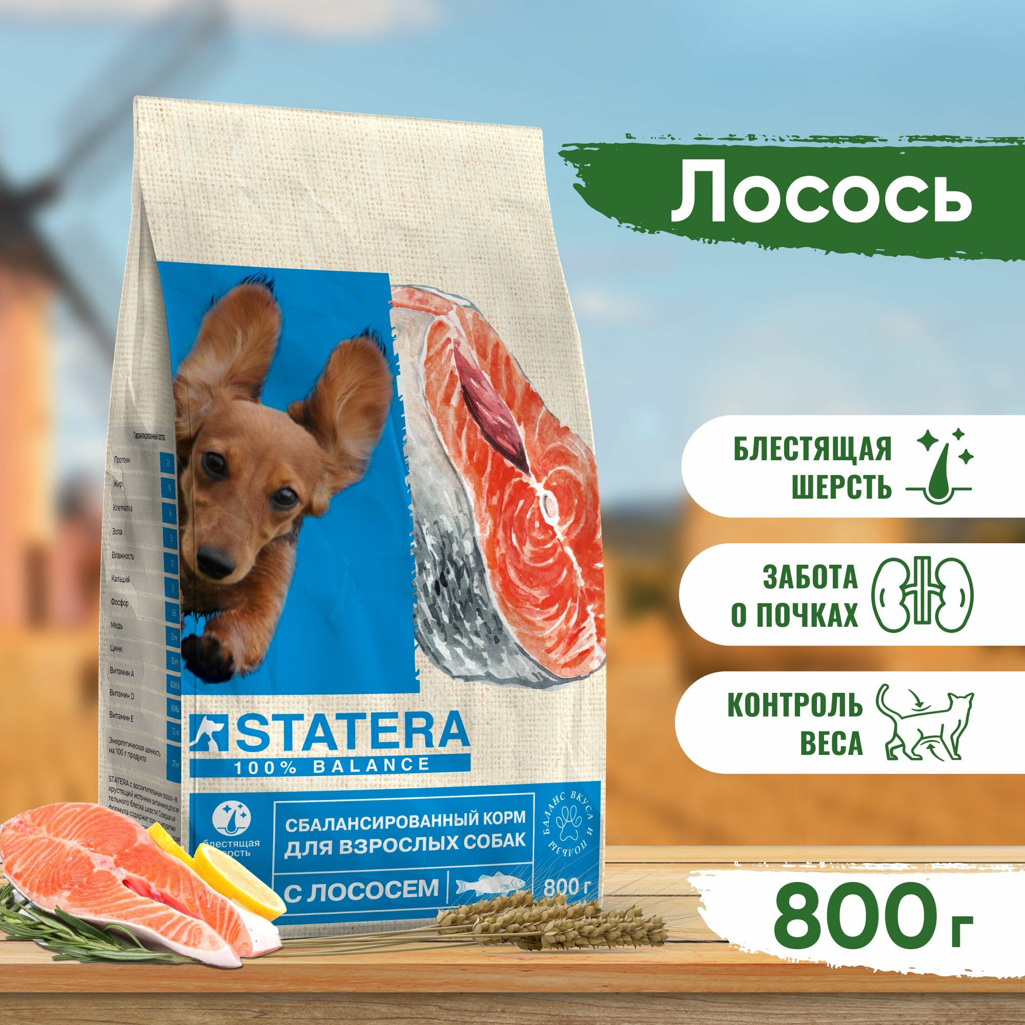STATERA для взрослых собак с лососем (0,8 кг)