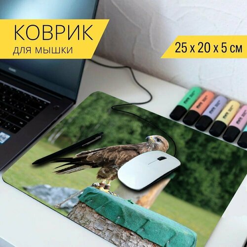 Коврик для мыши с принтом Сокол, пустельга, соколиная охота 25x20см. коврик для мыши с принтом мужчина пустельга пустельга мужчина 25x20см