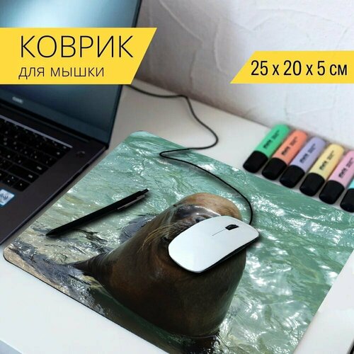 Коврик для мыши с принтом Морской лев, морж, морской 25x20см.